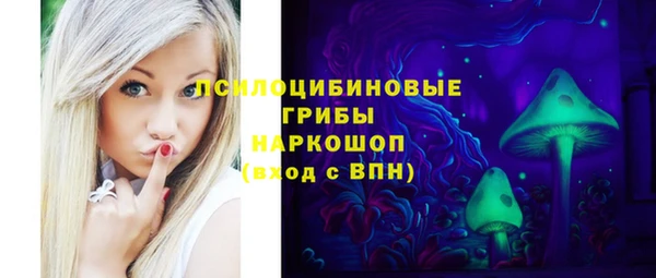альфа пвп Краснослободск