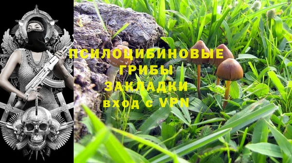 винт Баксан