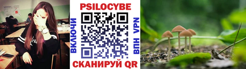 Купить  Междуреченск  Псилоцибиновые грибы Psilocybe 